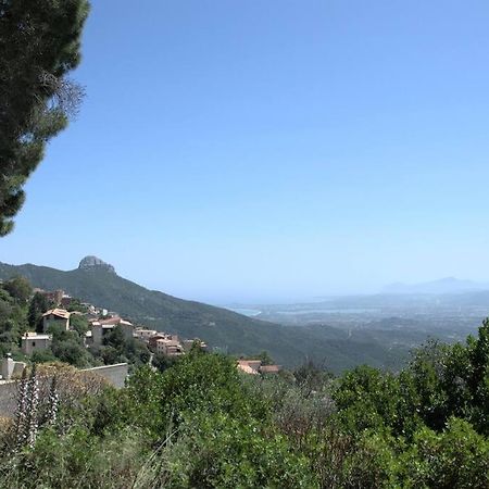 包内伊Montecolcau Panoramic View公寓 外观 照片
